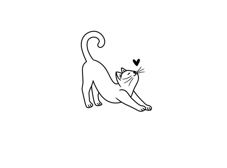 Illustration d’un chat qui s’étire avec un petit cœur