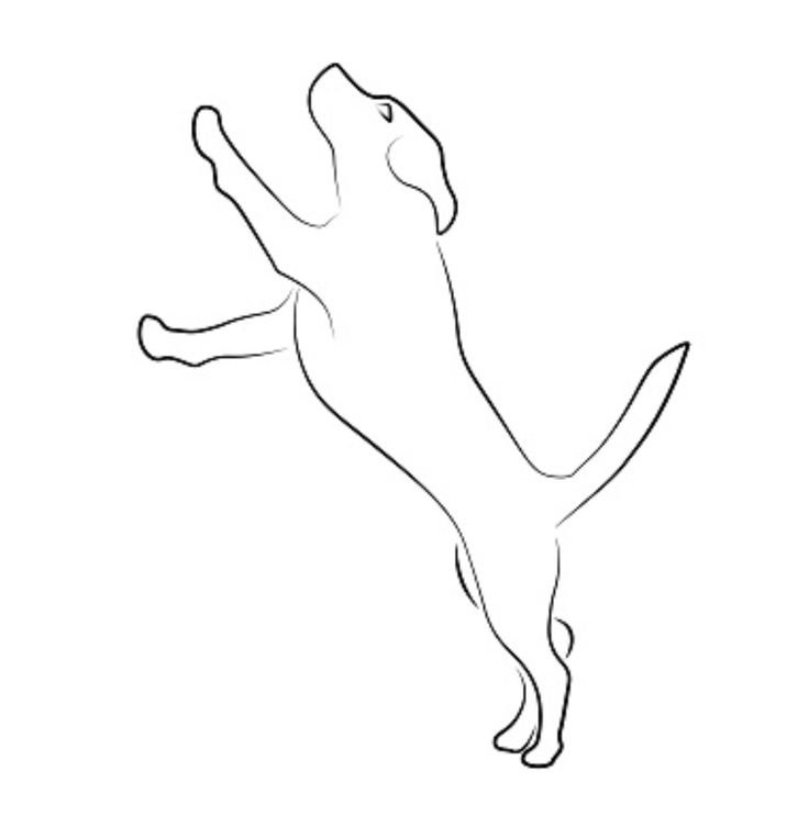 Illustration d’un chien qui saute