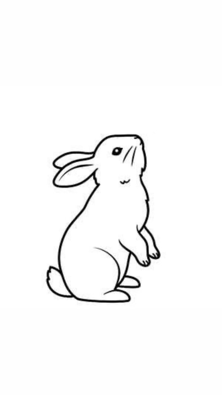 Un lapin attentif observe la scène