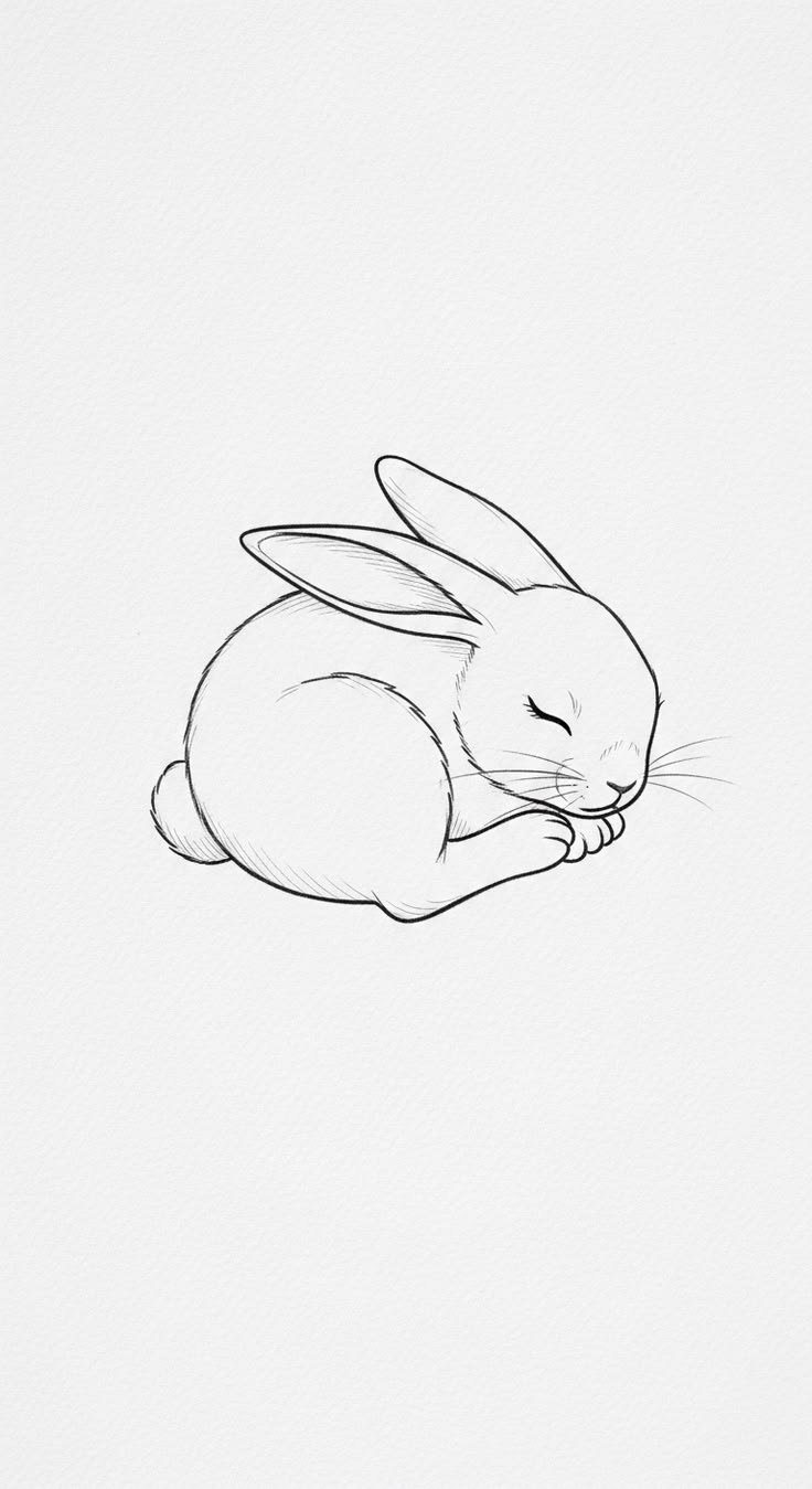 Un lapin s’endort paisiblement